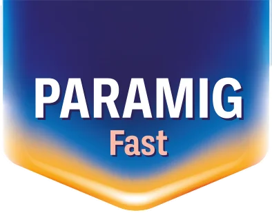 Paramig logo